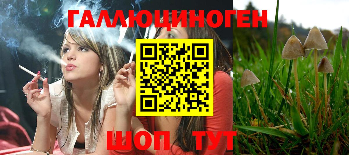 Галлюциногенные грибы Psilocybe  Псилоцибиновые грибы мицелий  Чехов  Вход с VPN 