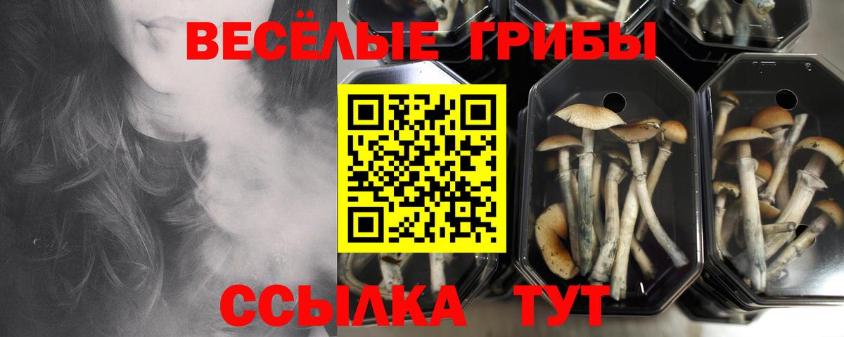 Галлюциногенные грибы MAGIC MUSHROOMS Чехов